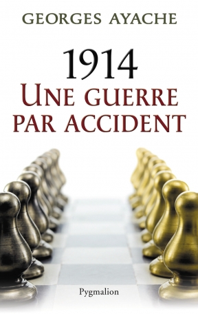 1914 une guerre par accident