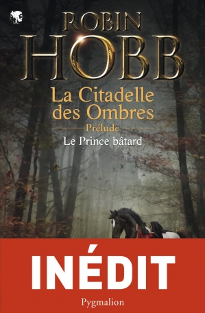 L'Assassin royal Tome 1. L'apprenti assassin de Robin Hobb - Livre - Decitre